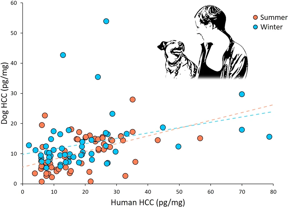 Stress cortisol level rising in dogs