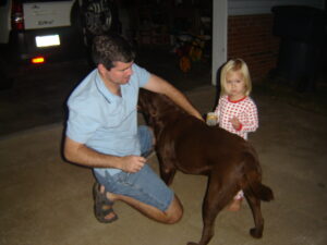 Dog Brush Science: Brush Choices for Labs and Other Breeds