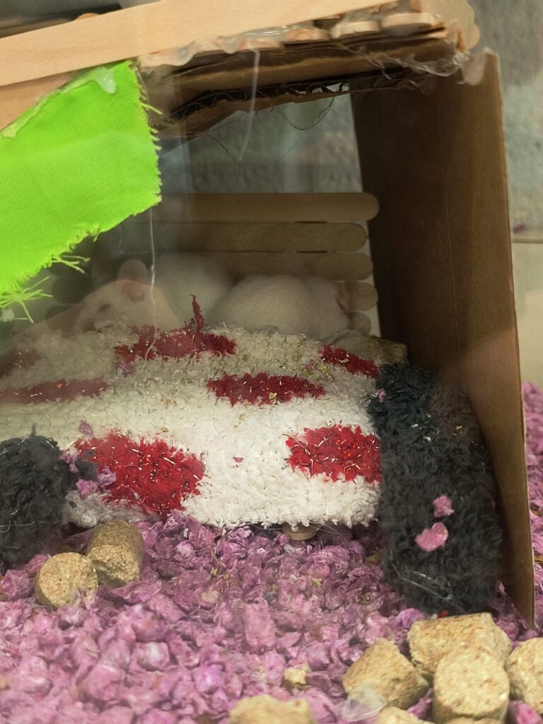 Mouse habitat 1