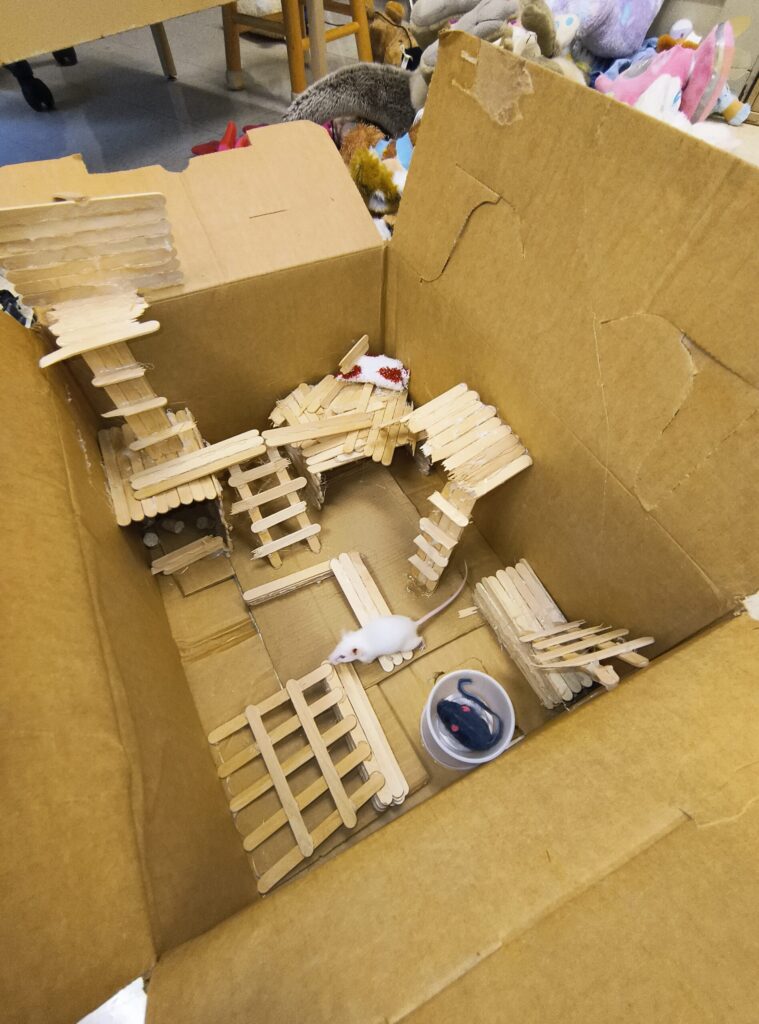 Mouse Habitat 7