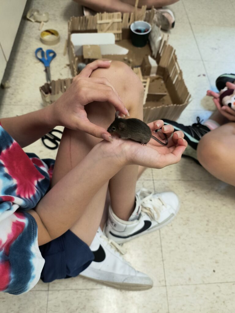 Mouse Habitat 12