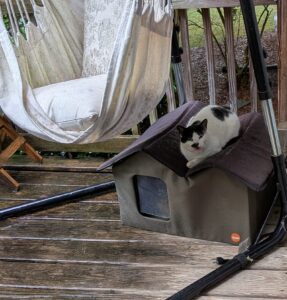 Pet Logic Lab: Outdoor Cat Shelter for Strays